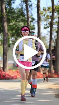 BIB:  <button type="button" onclick="openModal(27617264)" class="btn btn-primary btn-sm float-right" data-toggle="modal" data-target=".modal-high-quality">
                <i class="fa fa-download"></i> Download
                </button>